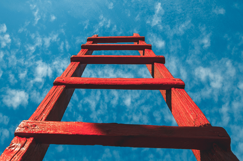 Level Up Your Company with Career Ladders: A TTG Approach
